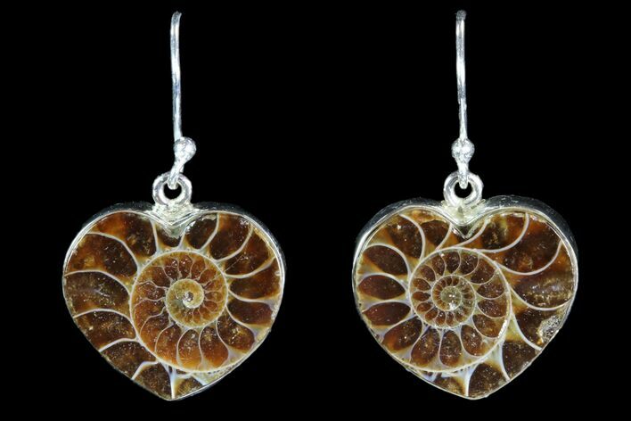 Fossil Ammonite Earrings - Sterling Silver #82261